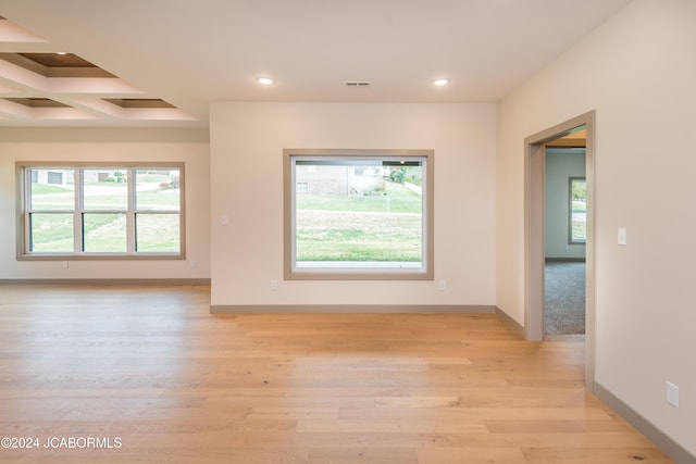 unfurnished room with light wood-type flooring and plenty of natural light