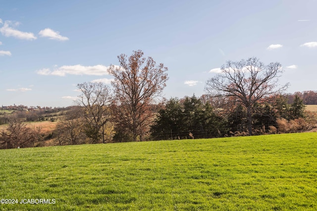 view of yard featuring a rural view