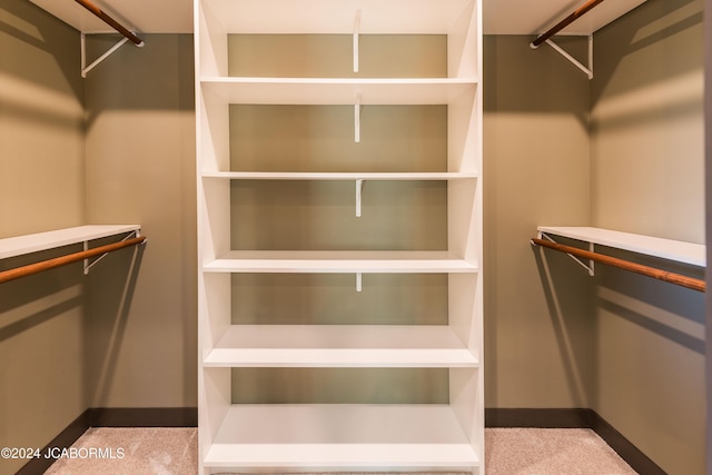 spacious closet featuring carpet flooring