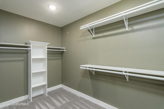 spacious closet featuring carpet flooring