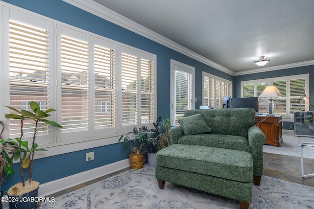 sitting room featuring ornamental molding and a healthy amount of sunlight