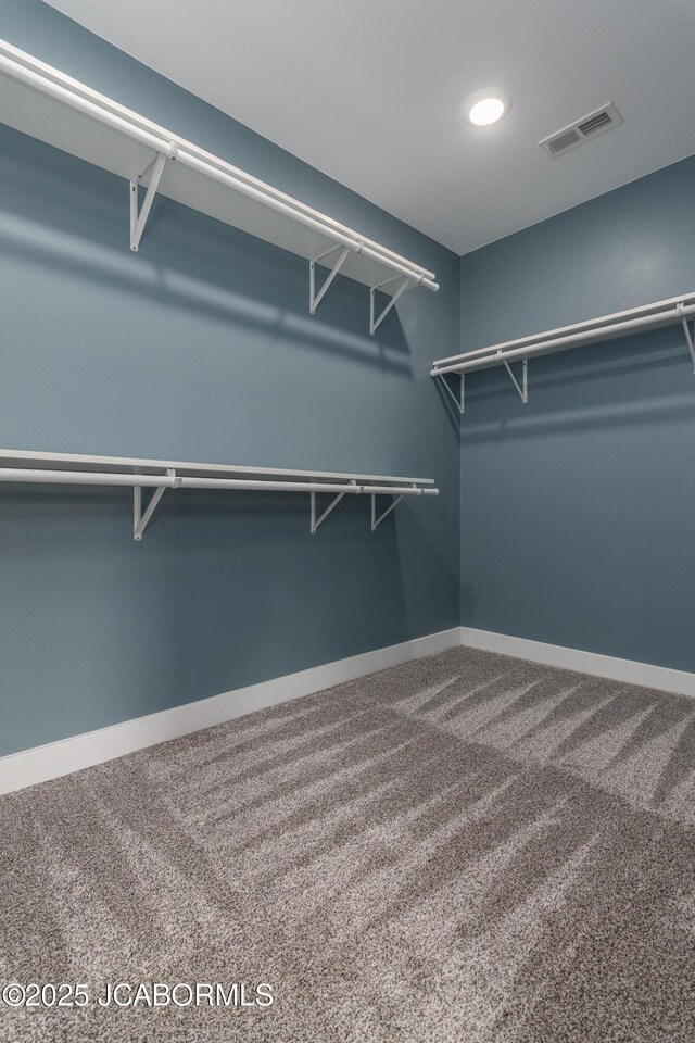 209 Gavin Ln, Linn, MO 65051 - spacious closet with carpet floors