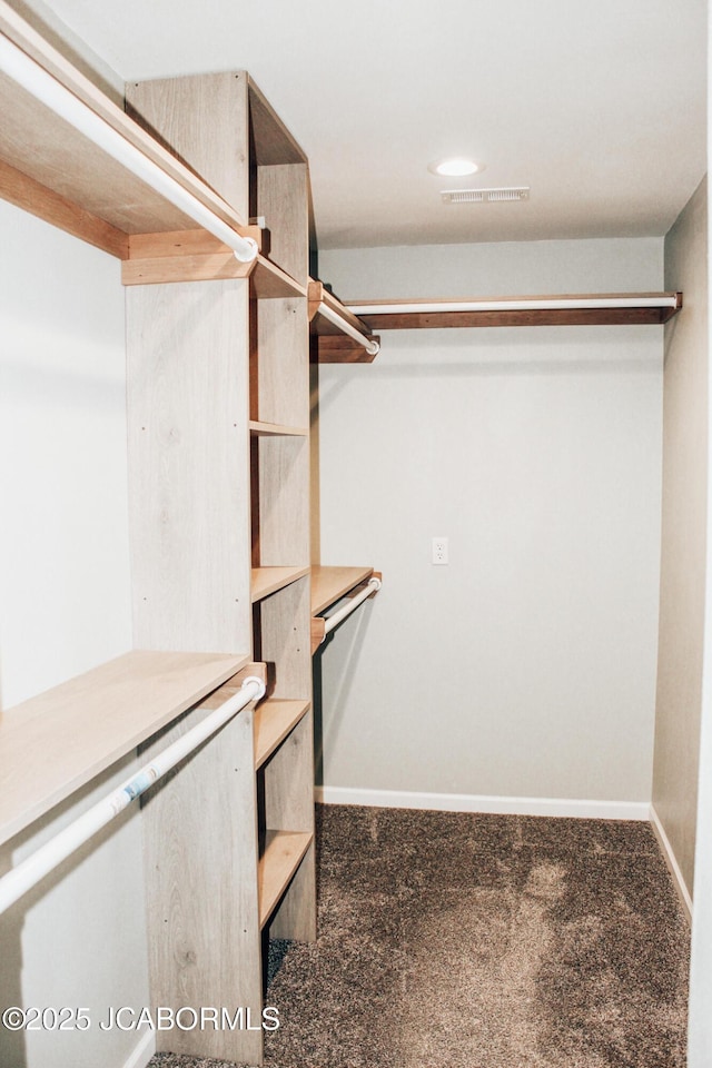 138 Stonegate Ave, Linn, MO 65051 - walk in closet with carpet