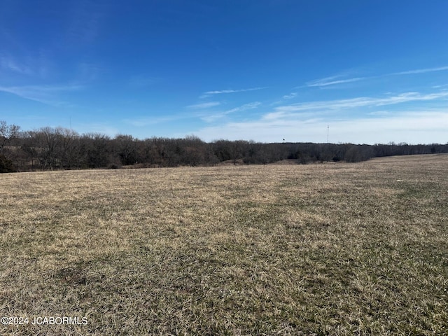 Listing photo 2 for TBD California Dr, California MO 65018