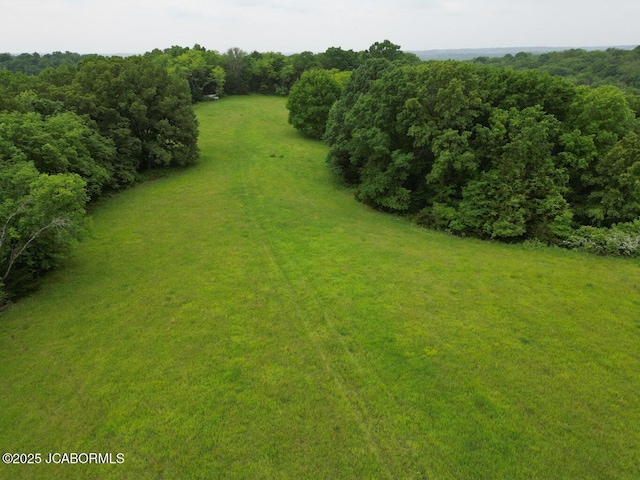 TBD E Cedar Tree Ln, Hartsburg, MO 65039
