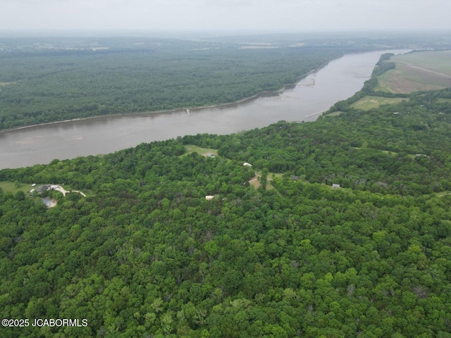 TBD E Cedar Tree Ln, Hartsburg, MO 65039