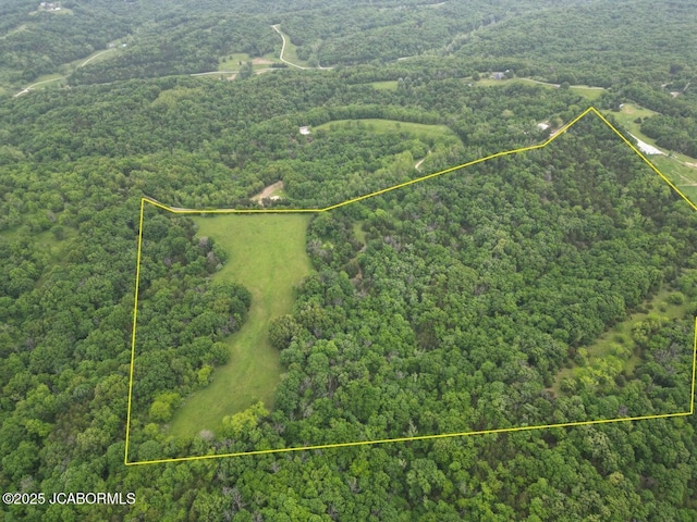 TBD E Cedar Tree Ln, Hartsburg, MO 65039