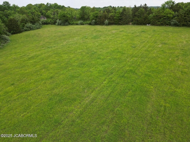 TBD E Cedar Tree Ln, Hartsburg, MO 65039