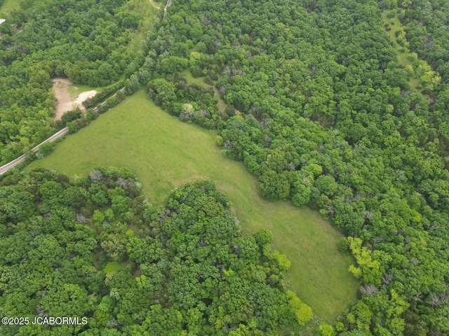 TBD E Cedar Tree Ln, Hartsburg, MO 65039