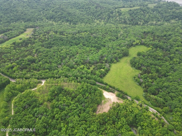 TBD E Cedar Tree Ln, Hartsburg, MO 65039