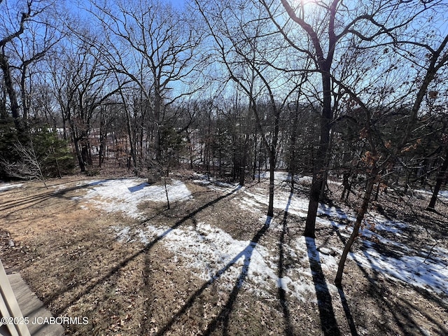 2362 County Road 4032, Holts Summit, MO 65043 - view of snowy view