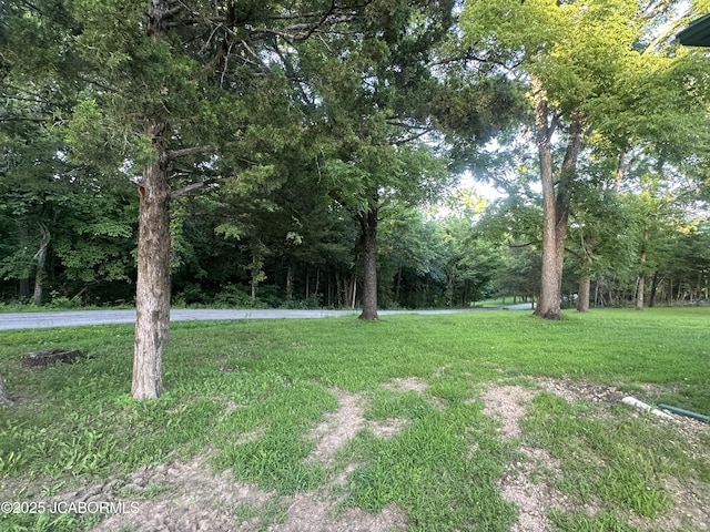 11 Copperhead Rd, Eldon, MO 65026 - view of grassy yard