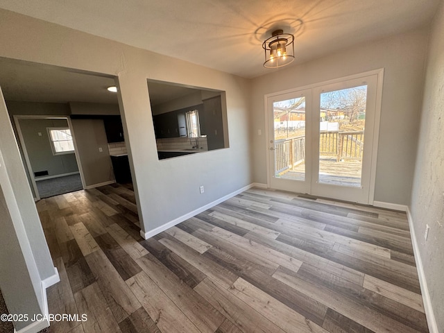 unfurnished dining area featuring hardwood / wood-style flooring and sink