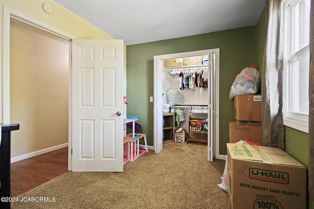 rec room with carpet flooring and a textured ceiling