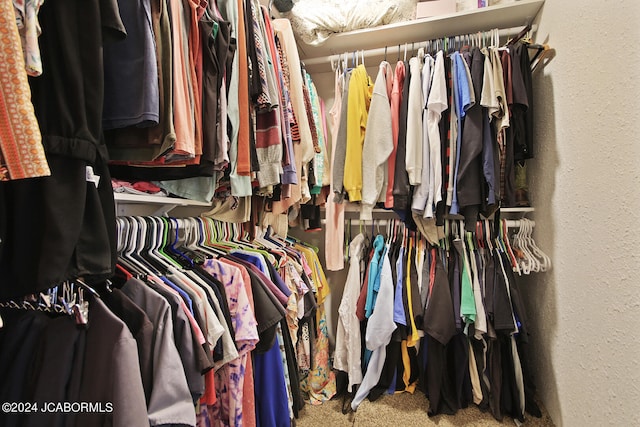 spacious closet with carpet floors