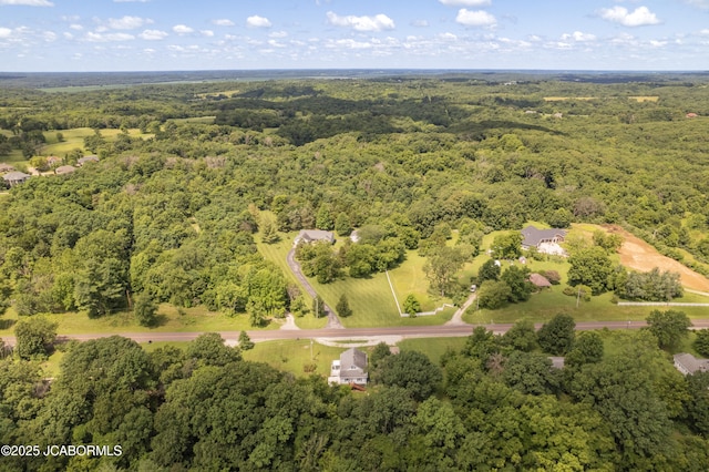 21120 S N Mount Pleasant Rd, Hartsburg, MO 65039 - photo 46