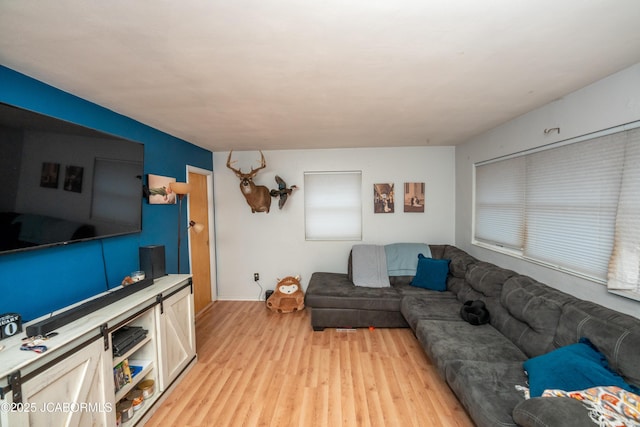 living room featuring light wood-type flooring