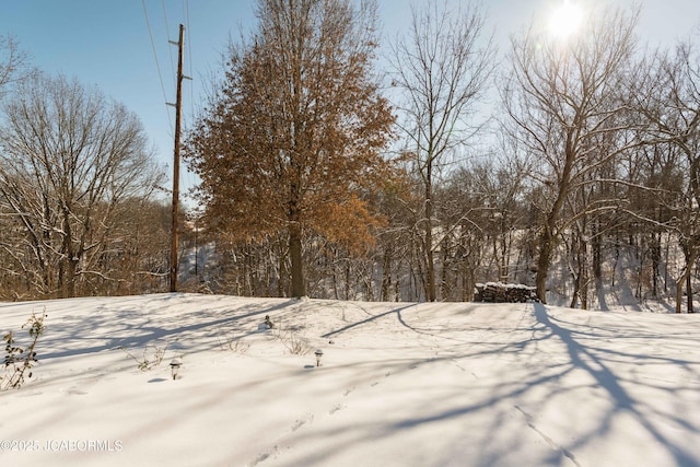 view of snowy view