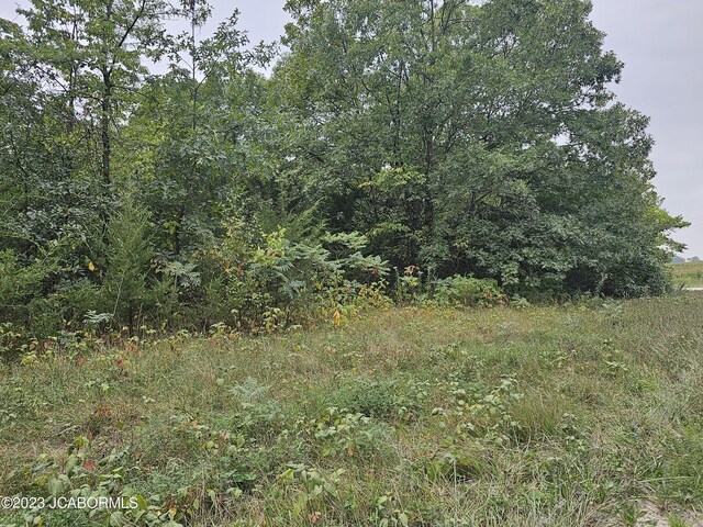 13807 Boxwood St, La Belle, MO 63447 - photo 13