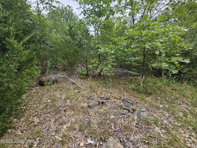 13807 Boxwood St, La Belle, MO 63447 - photo 11