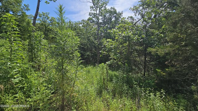 13807 Boxwood St, La Belle, MO 63447 - photo 19