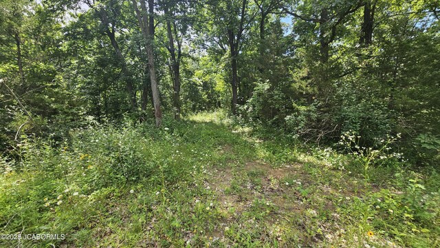 13807 Boxwood St, La Belle, MO 63447 - photo 20