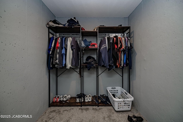 spacious closet with carpet