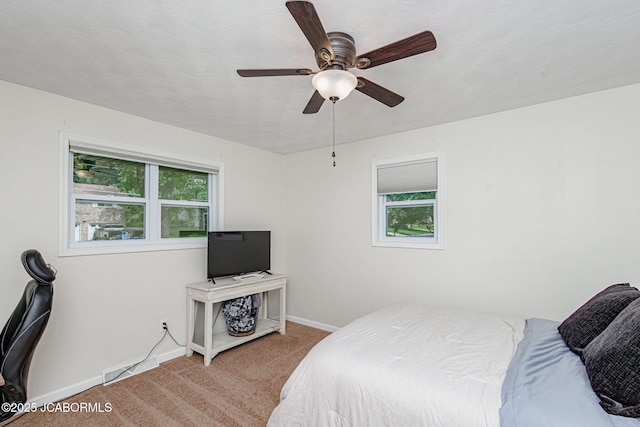 807 Dean Dr, Jefferson City, MO 65109 - photo 16