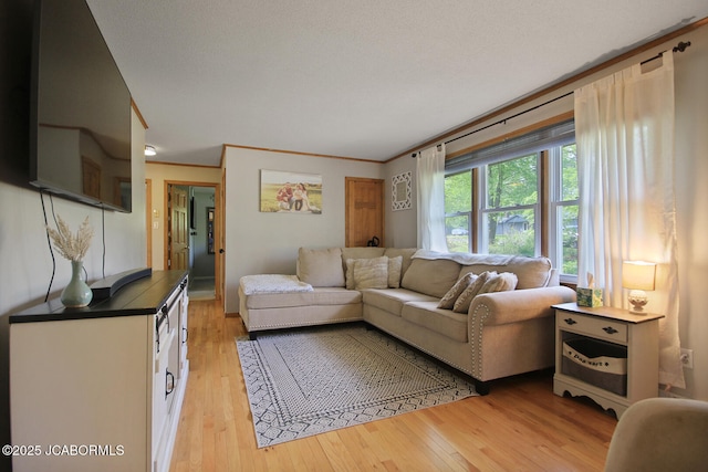 living room with ornamental molding and light wood finished floors