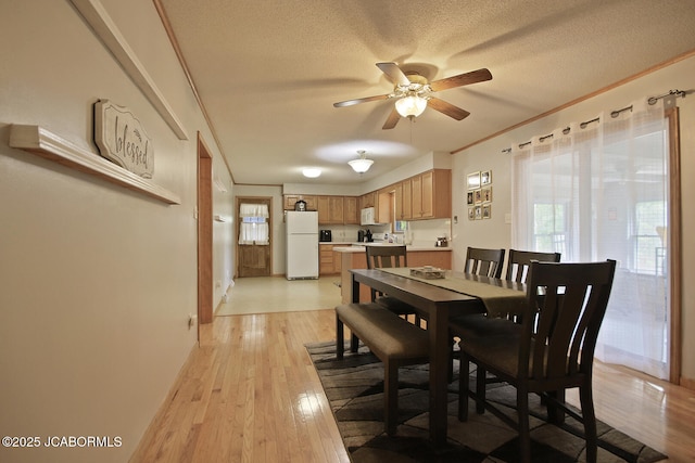 dining space with crown molding, a ceiling fan, a textured ceiling, and a healthy amount of sunlight
