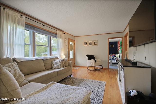 living area featuring crown molding, light wood finished floors, and a textured ceiling