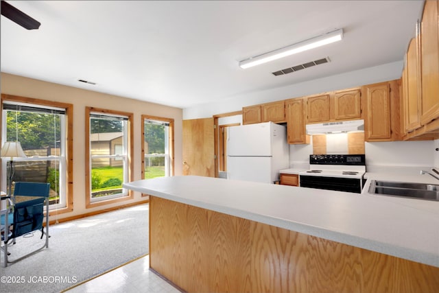 kitchen featuring a sink, freestanding refrigerator, a peninsula, electric stove, and under cabinet range hood