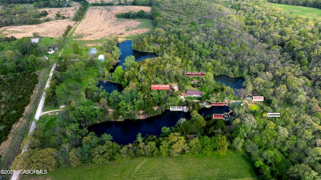 bird's eye view featuring a water view and a view of trees