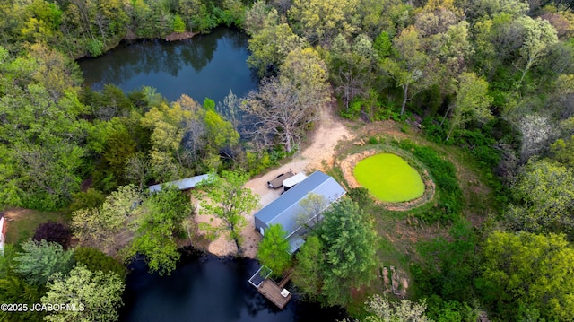 bird's eye view with a view of trees and a water view