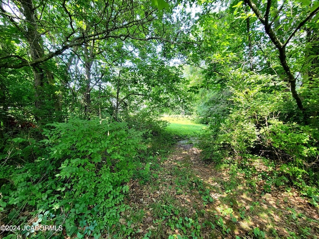 Listing photo 2 for TBD Haddley Lee Drive, Fulton MO 65251