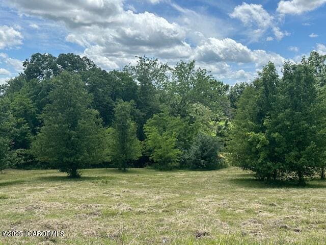 12329 County Rd 4039, Holts Summit, MO 65043 - photo 1