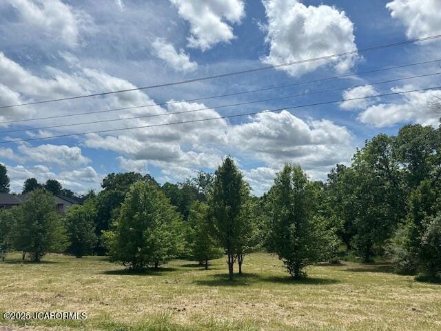 12329 County Rd 4039, Holts Summit, MO 65043 - photo 2
