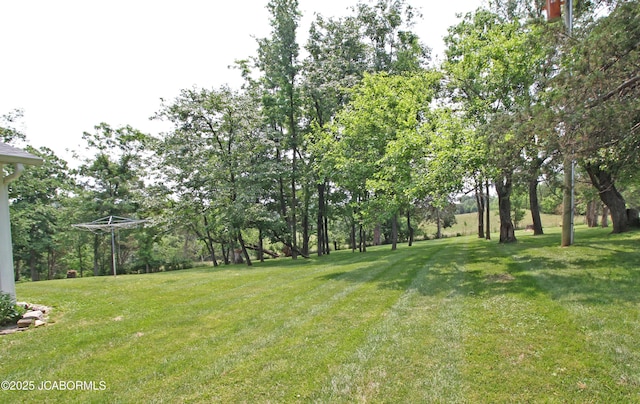 164 Turn Back Now Trl, Linn, MO 65051 - view of green lawn