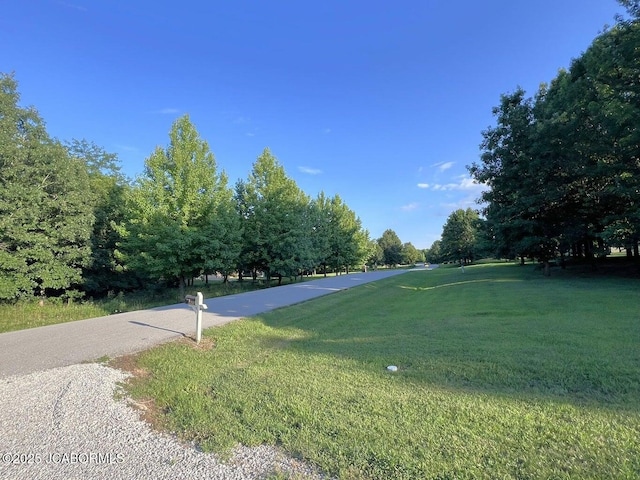 8425 Hillers Creek Dr, New Bloomfield, MO 65063 - photo 16