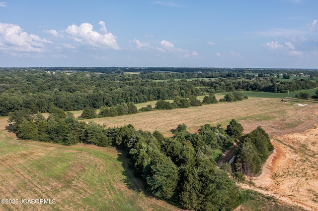 TBD County Road 375, New Bloomfield, MO 65063 - photo 15