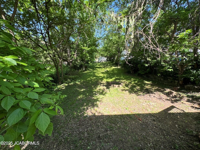 204 Havana St, Jefferson City, MO 65109 - view of grassy yard