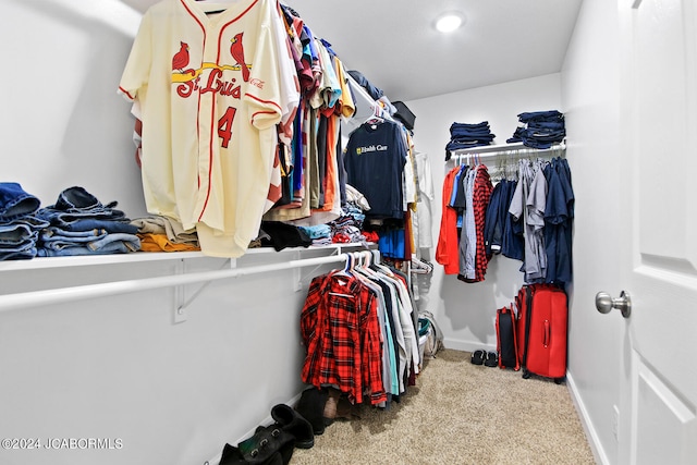 spacious closet featuring carpet flooring