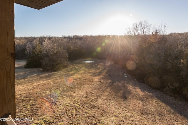 view of yard featuring a wooded view