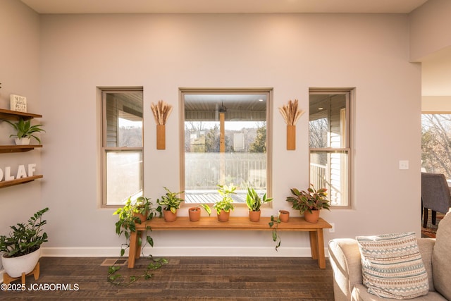 living area with wood finished floors, a wealth of natural light, and baseboards