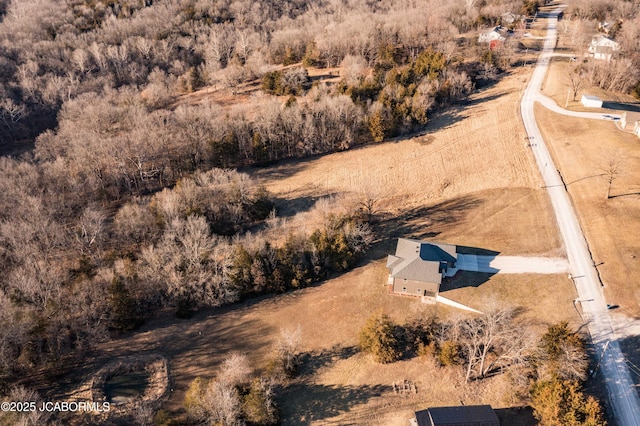 bird's eye view