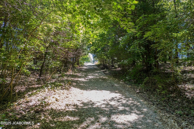 12085 County Rd 4037, Holts Summit, MO 65043 - photo 32