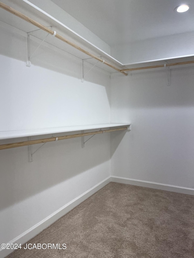 spacious closet with carpet floors