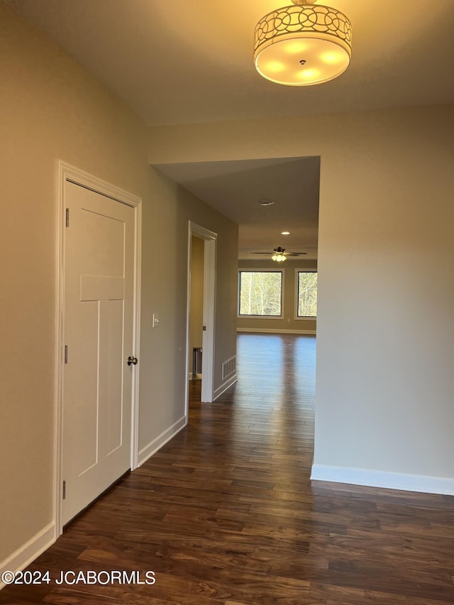 hallway featuring dark hardwood / wood-style floors