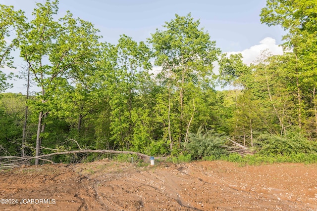 12558 Rock Hill Rd, Holts Summit MO, 65043 land for sale