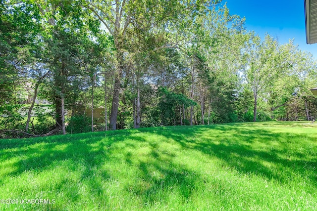1502 Summerfield Dr, Jefferson City, MO 65109 - view of grassy yard